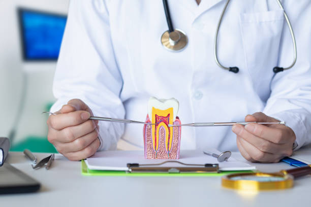 Best Emergency Dental Care for Trauma or Injury in Huntington Bay, NY